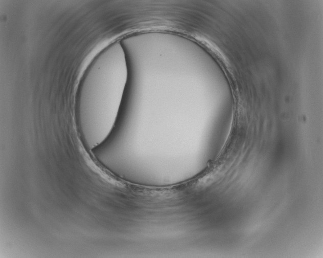 X0000075860941200609151222