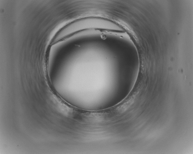 X0000075860942200609151222