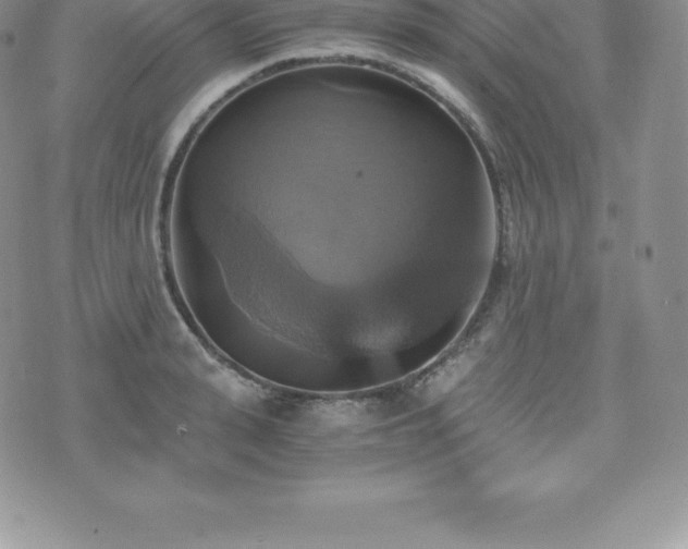 X0000075860943200609151222