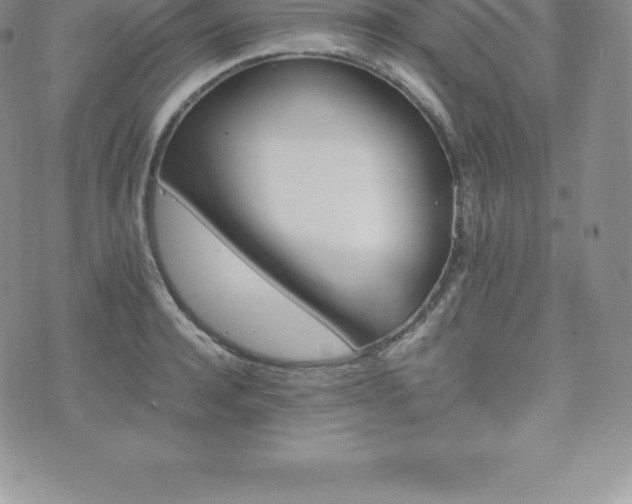 X0000075860944200609151222