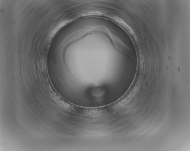 X0000075860945200609151222