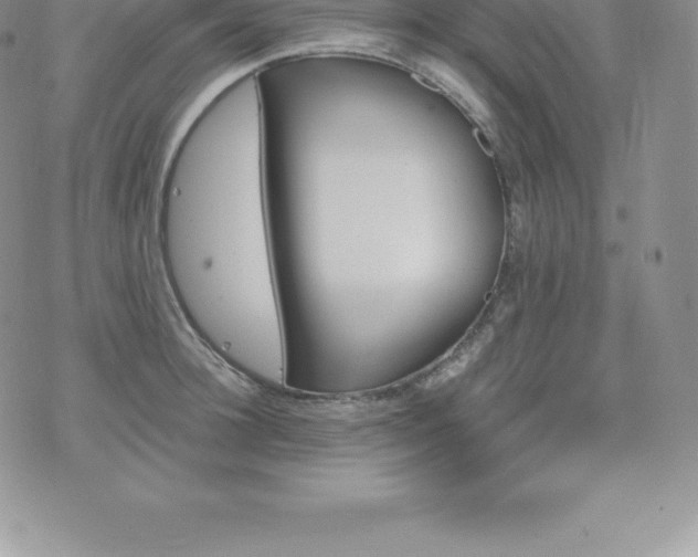 X0000075860948200609151222