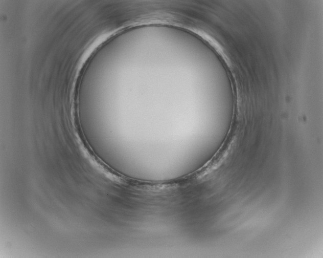 X0000075860949200609151222