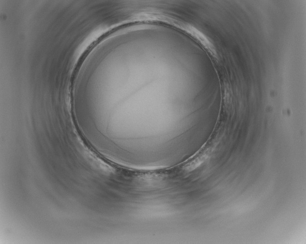 X0000075860950200609151222