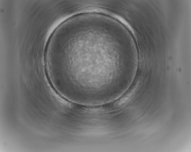 X0000075860951200609151222