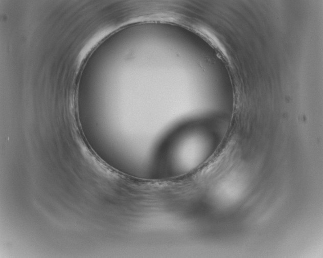 X0000075860952200609151222