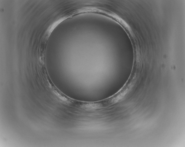 X0000075860953200609151222