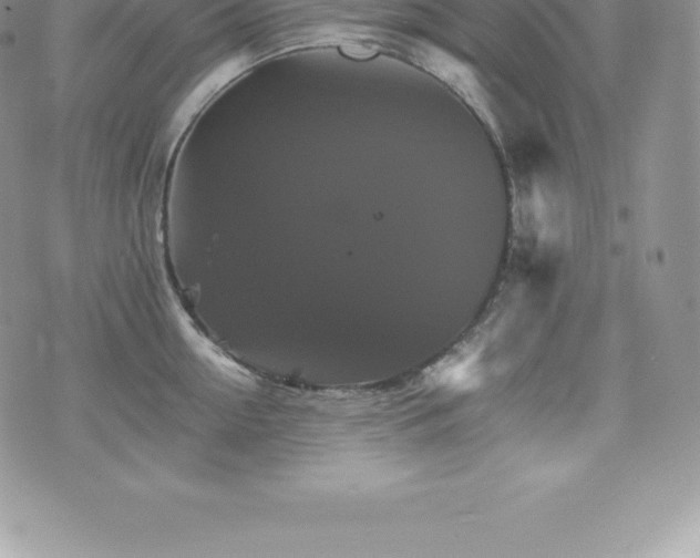 X0000075860954200609151223