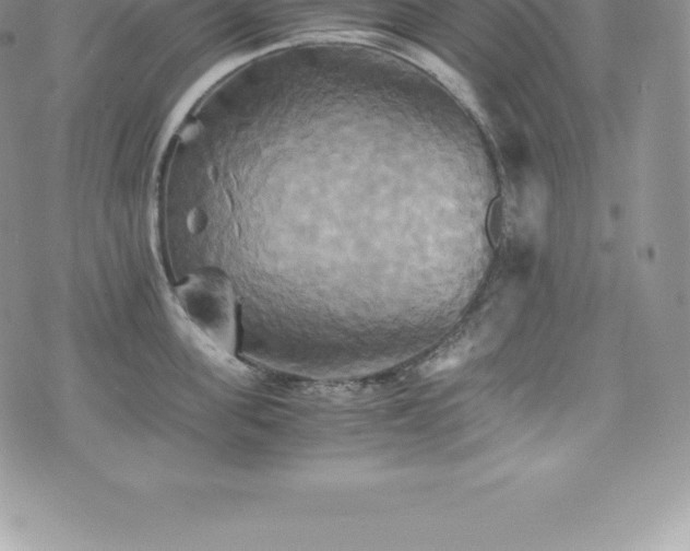 X0000075860955200609151223