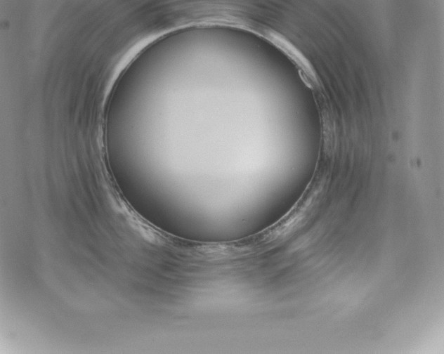 X0000075860956200609151223