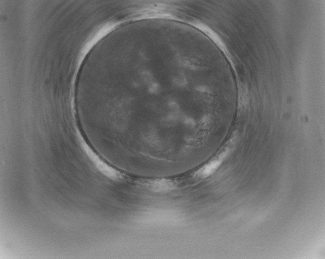 X0000075860957200609151223