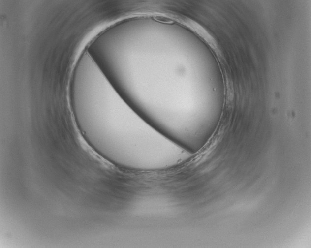 X0000075860958200609151223