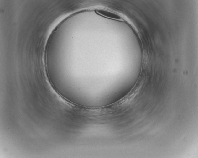 X0000075860959200609151223