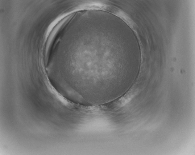 X0000075860960200609151223