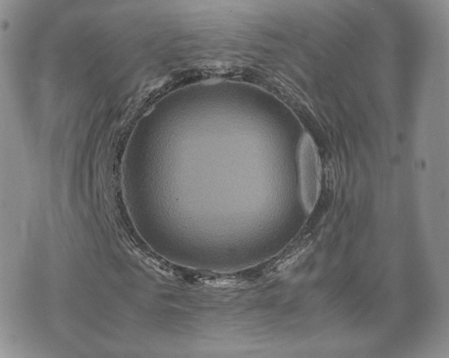 X0000075860961200609151222