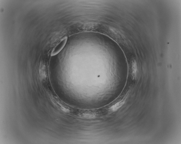 X0000075860962200609151222