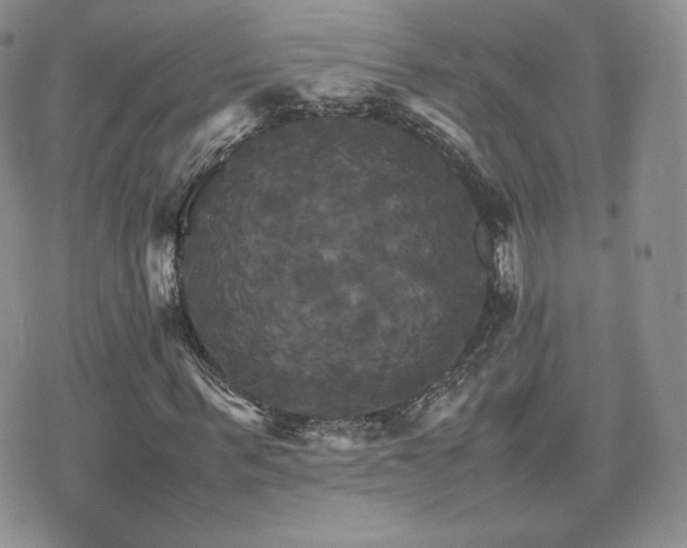 X0000075860963200609151222