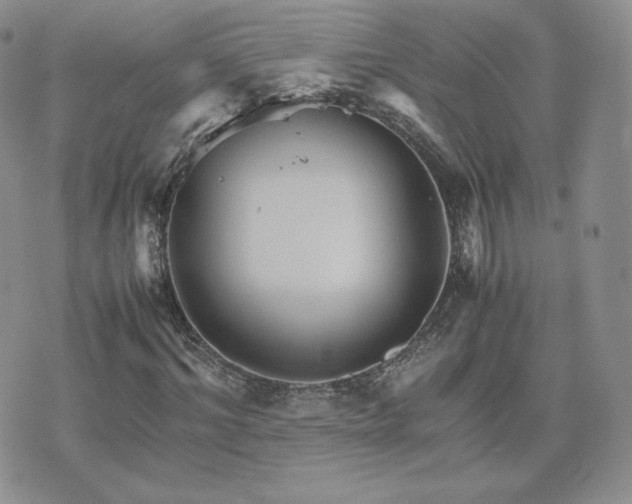 X0000075860964200609151222