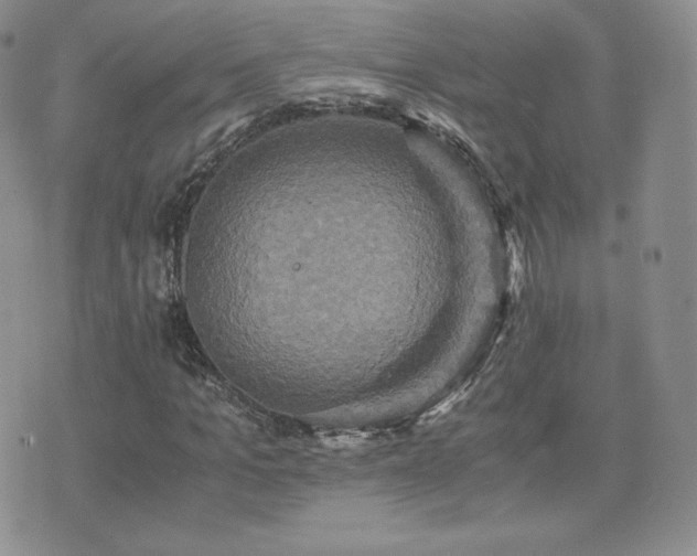 X0000075860965200609151222