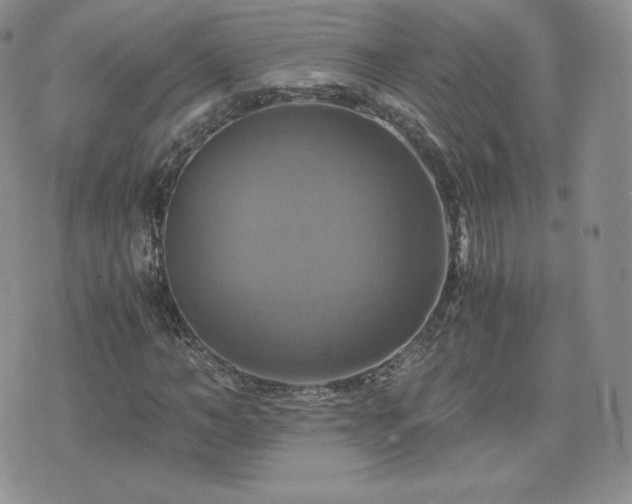 X0000075860966200609151222