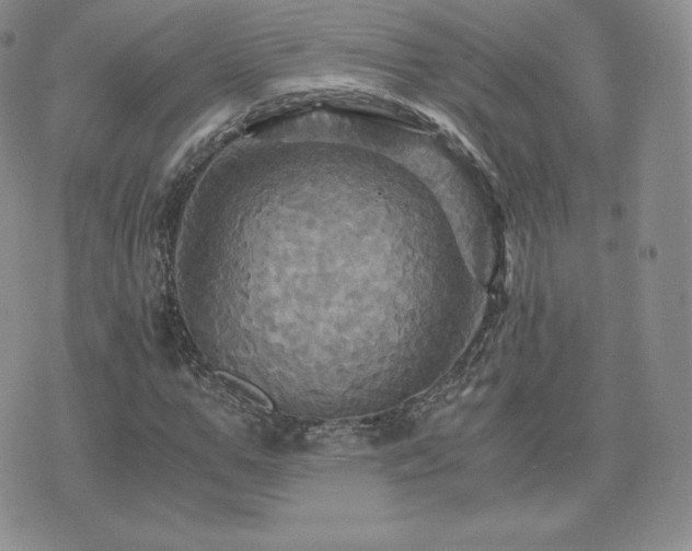 X0000075860967200609151222