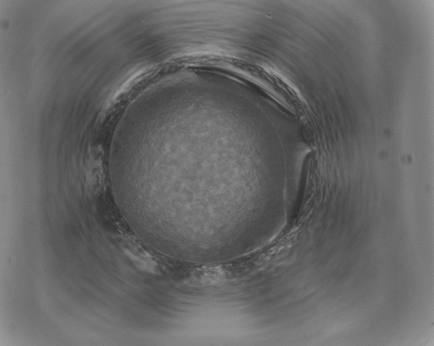 X0000075860968200609151222