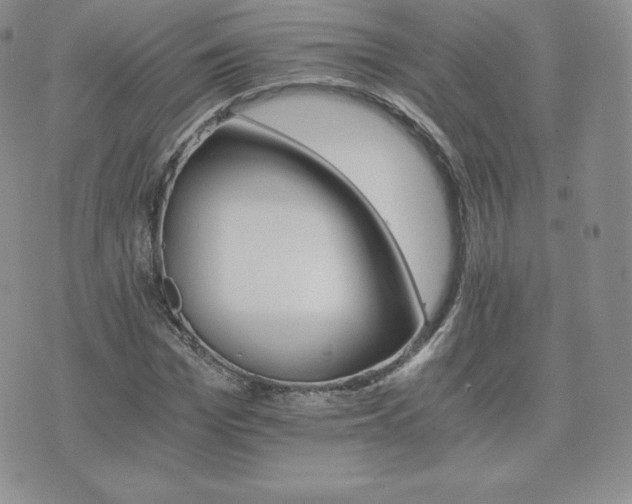 X0000075860969200609151222