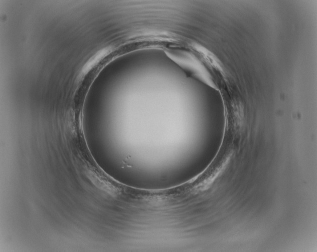 X0000075860970200609151222