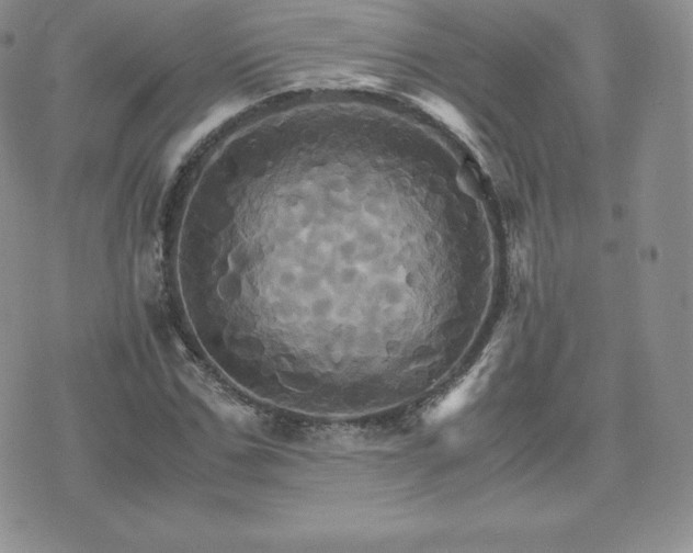 X0000075860971200609151222