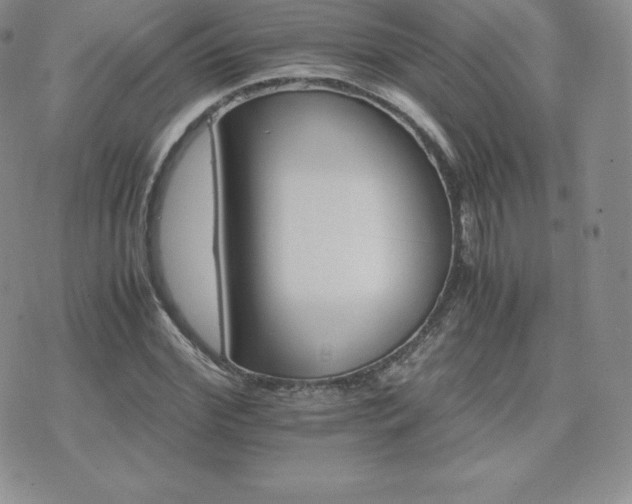 X0000075860972200609151222