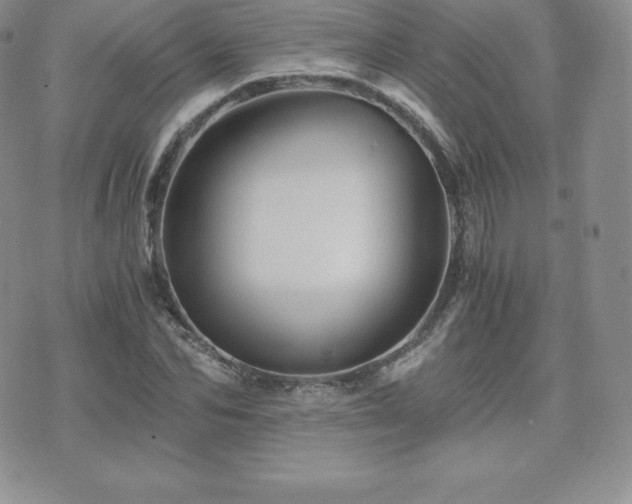 X0000075860974200609151222