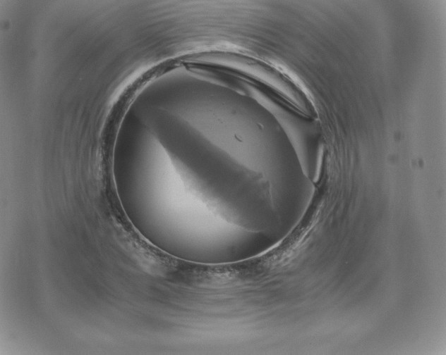 X0000075860975200609151222