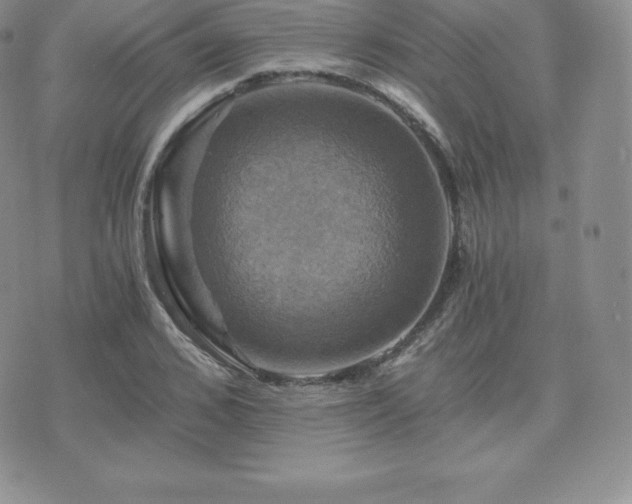 X0000075860976200609151222