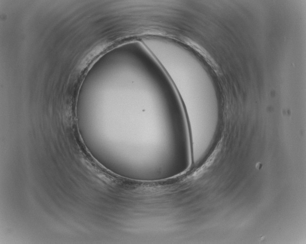 X0000075860977200609151222