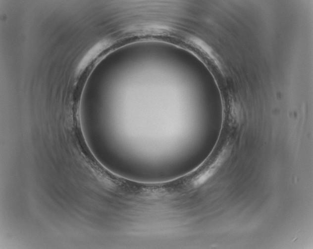 X0000075860978200609151222