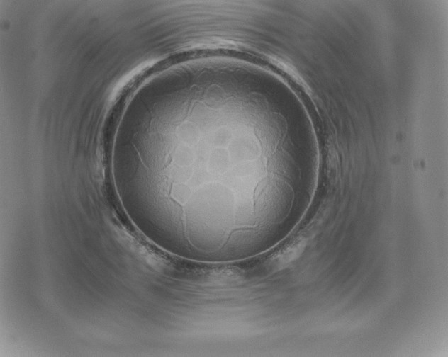 X0000075860979200609151222