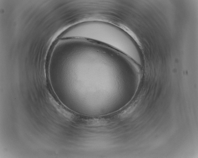 X0000075860980200609151222