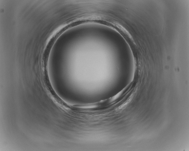 X0000075860981200609151222