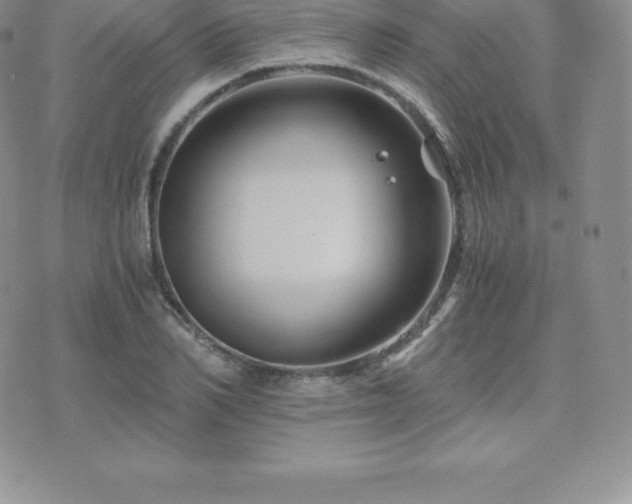 X0000075860982200609151221