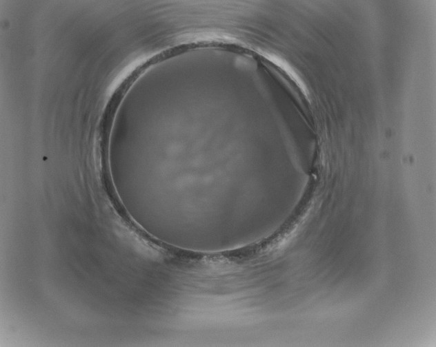 X0000075860983200609151221