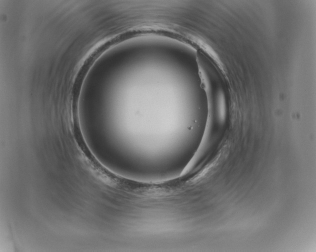 X0000075860984200609151221