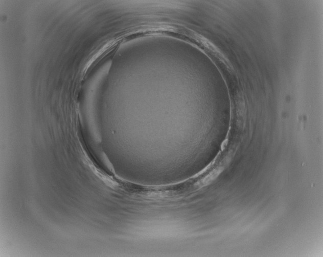 X0000075860985200609151221