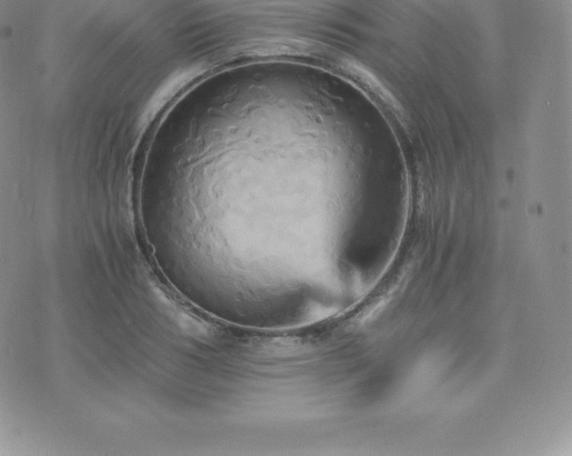 X0000075860986200609151221