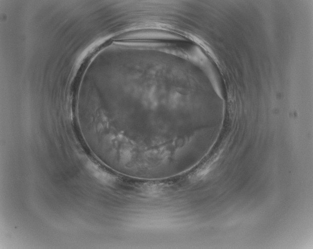 X0000075860987200609151221