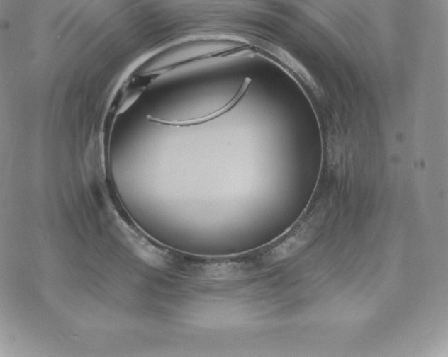 X0000075860988200609151221