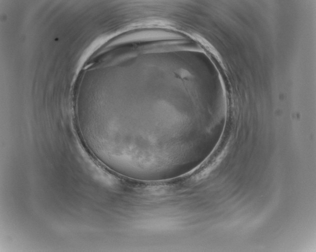 X0000075860989200609151221