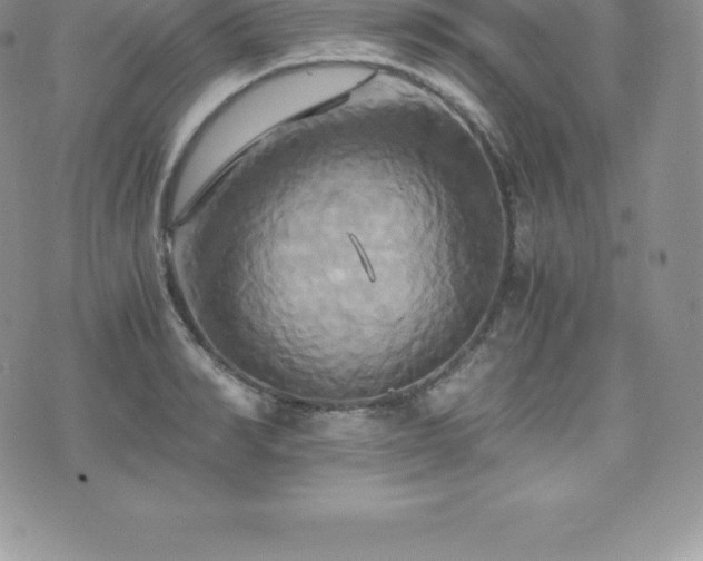 X0000075860990200609151221