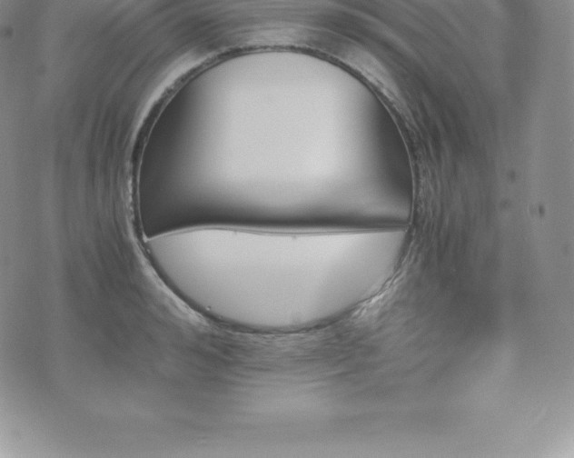 X0000075860992200609151221