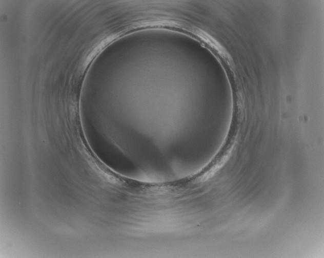 X0000075860993200609151221