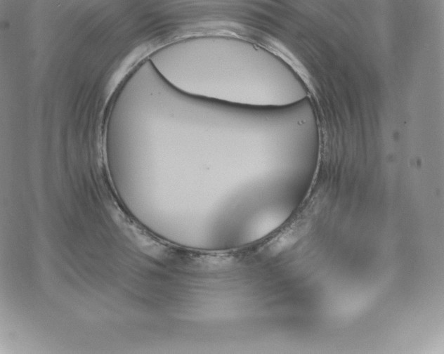 X0000075860994200609151221